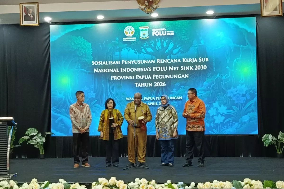 Papua Pegunungan Jadi Pilar Hijau Penyerap Karbon Nasional