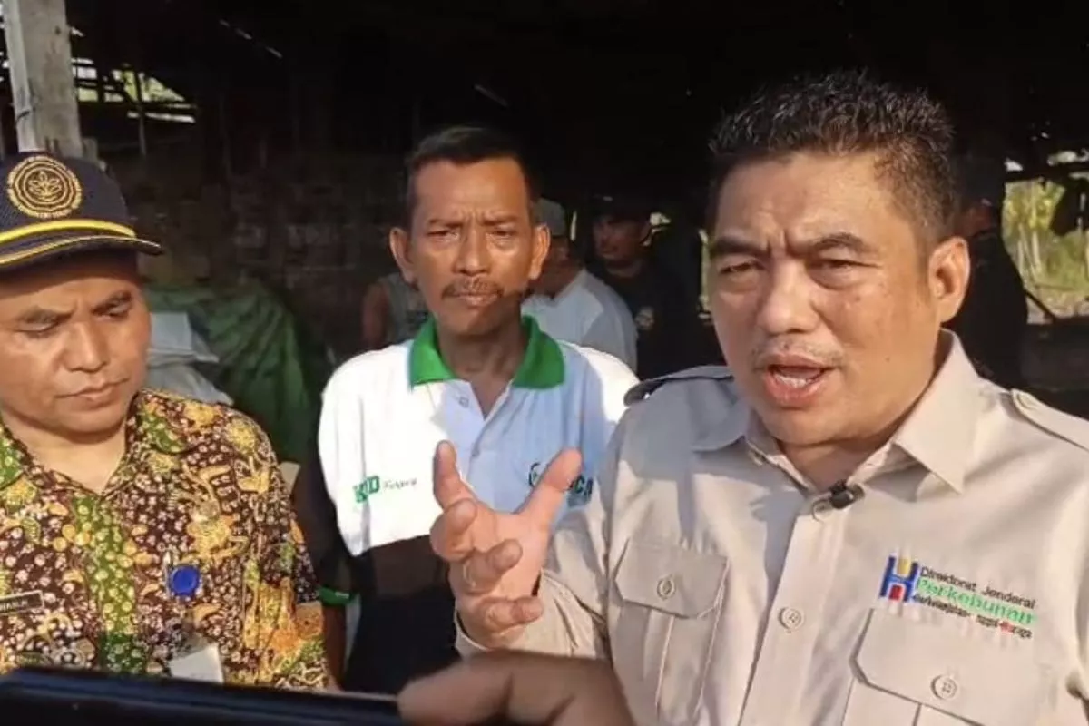 Kementan Kembangkan Gula Tumbu untuk Dukung Swasembada Gula
