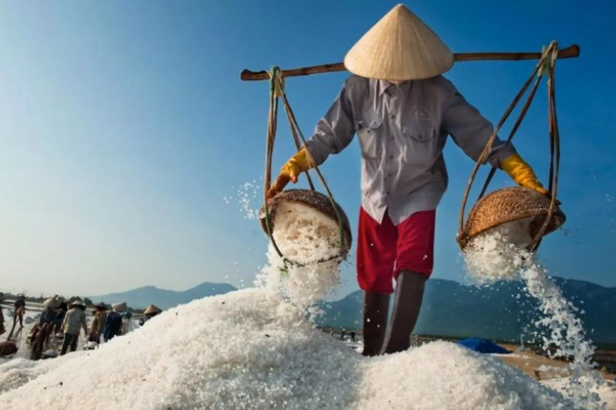 Musim Kemarau Panjang Sukses Dongkrak Produksi Garam Petambak Lokal di Palu