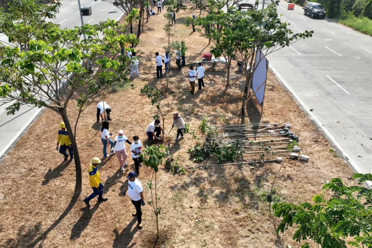 Pelindo Regional 2 Tanam 250 Pohon demi Dekarbonisasi Pelabuhan