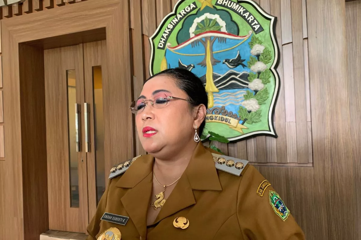 Optimalkan RPJMD 2026, Pemkab Gunungkidul Selaraskan Data Makro