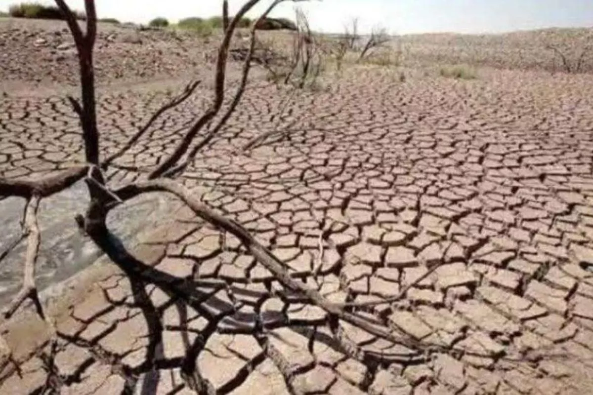 Puncak El Nino Diprediksi Berlangsung Akhir Sept-Oktober 2026