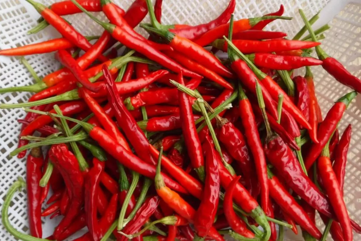 Cabai Rawit Merah, Daging Ayam, dan Telur Kompak Naik