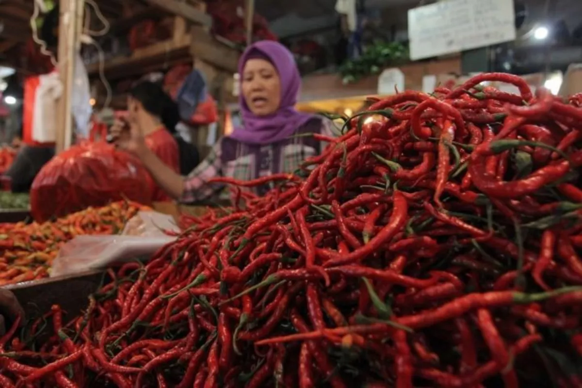 PIHPS: Harga Cabai Rawit Rp84.000/Kg dan Telur Ayam Rp29.650/Kg