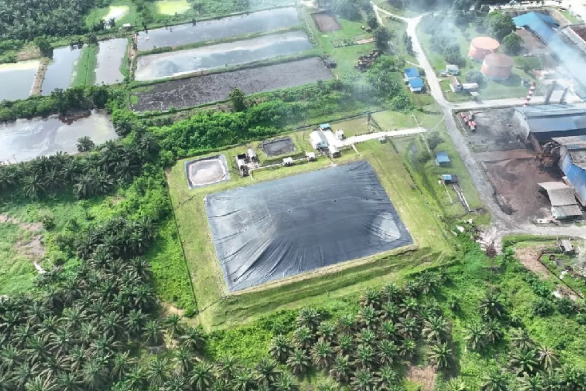 Tren Transaksi Karbon Biogas PTPN IV PalmCo Kian Meningkat