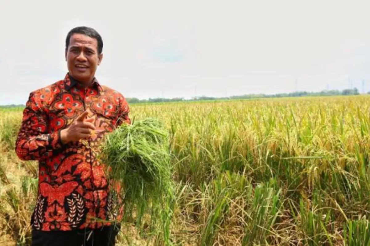SPPG Tak Serap Telur, Mentan Amran Copot Korwil KPPG Surabaya