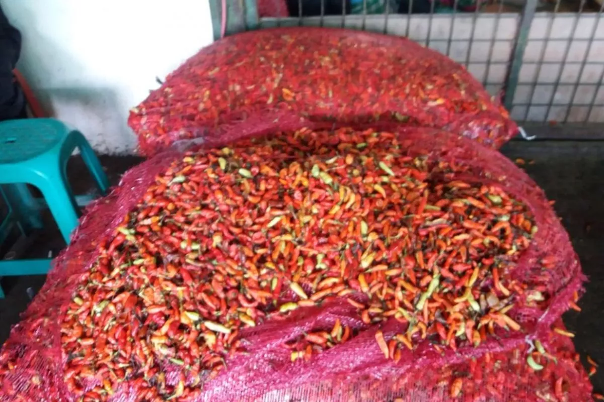 Harga Cabai Rawit Merah di Jakarta Melonjak Pemprov Siapkan Pasar