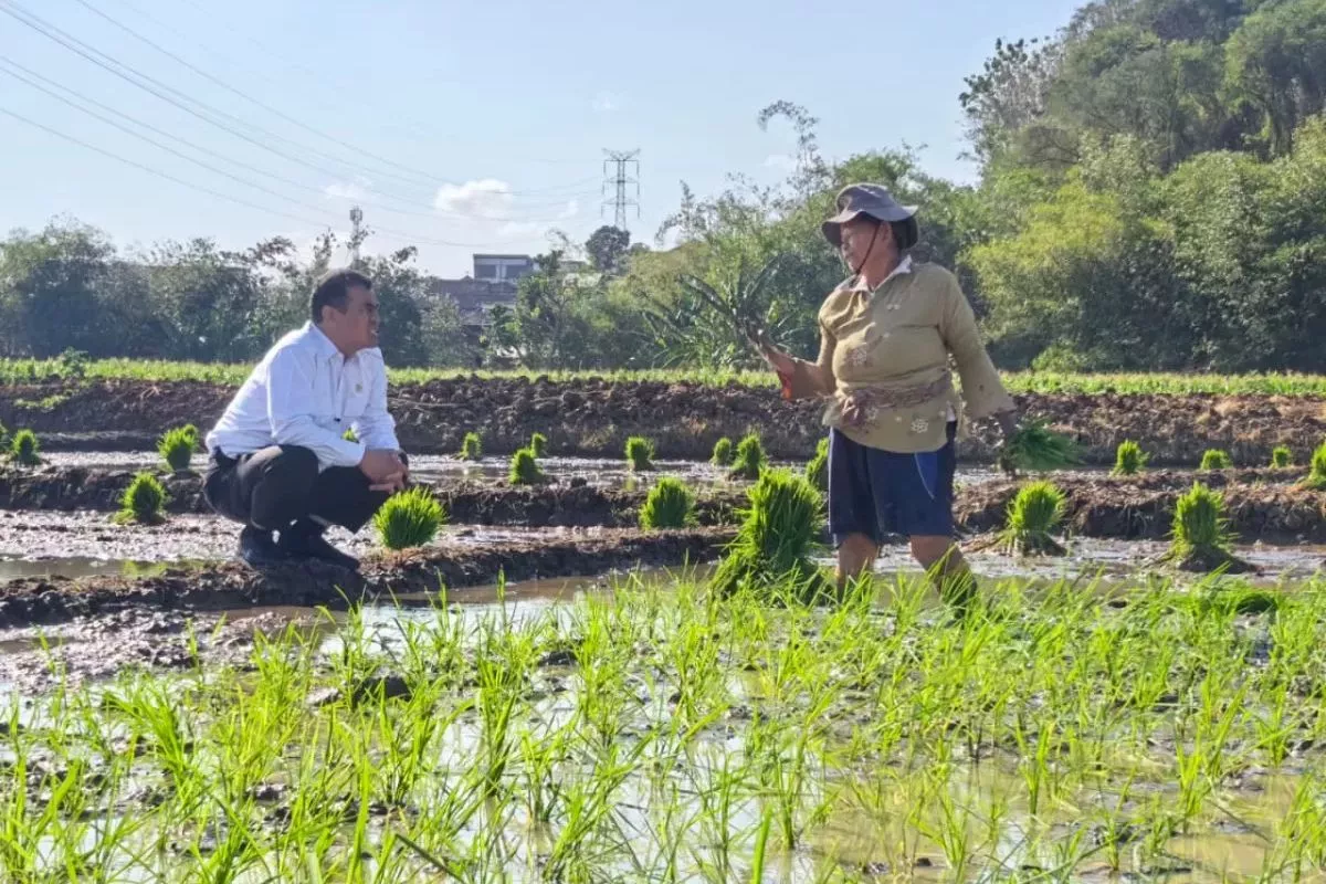 Mentan Amran Serahkan Bantuan Traktor Bagi Petani di Semarang