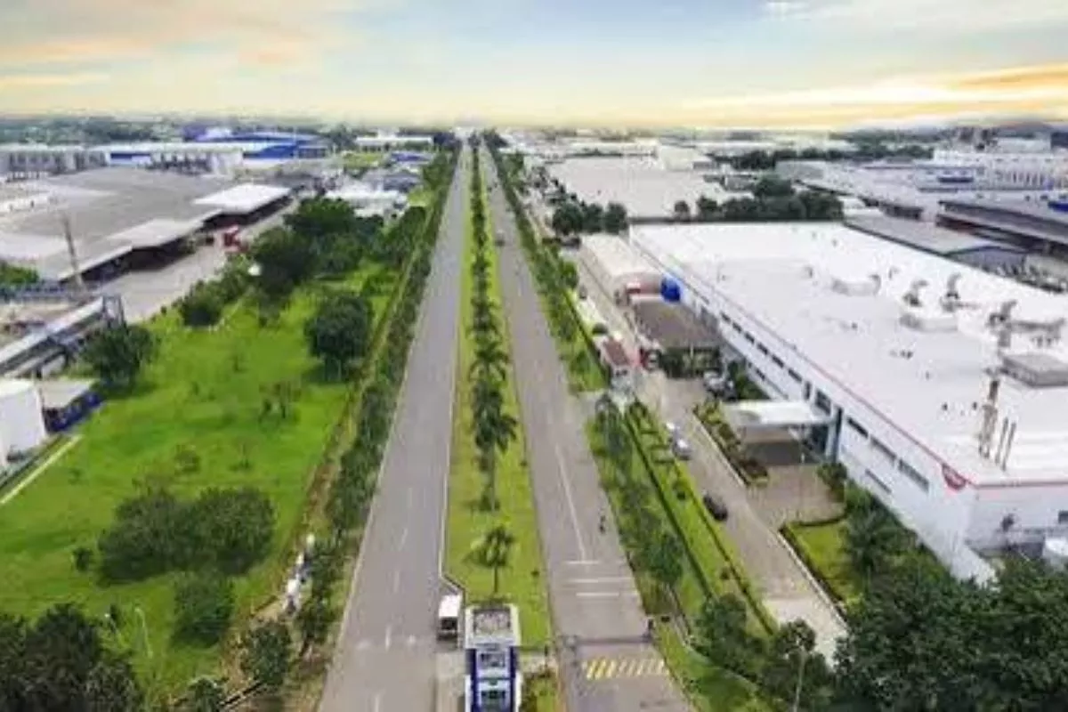 Kejar Target SDGs, KIJA Fokus Rehabilitasi Mangrove hingga PDU