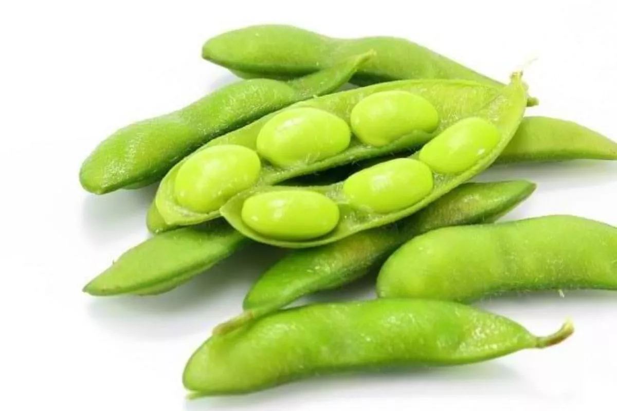 Pilihan 5 Makanan Tinggi Protein Anti-Inflamasi Selain Telur untuk Anda