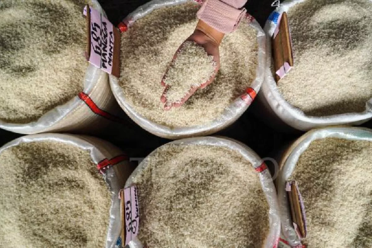 BPS Catat Harga Beras Mei 2026 Naik di Semua Rantai Distribusi