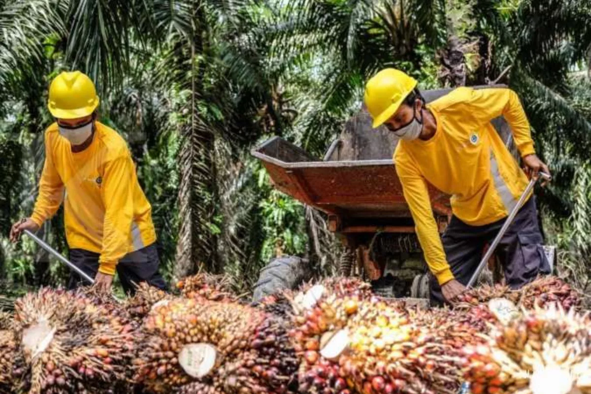 IHSG Dibayangi Sentimen Global dan Ancaman Turun Kelas