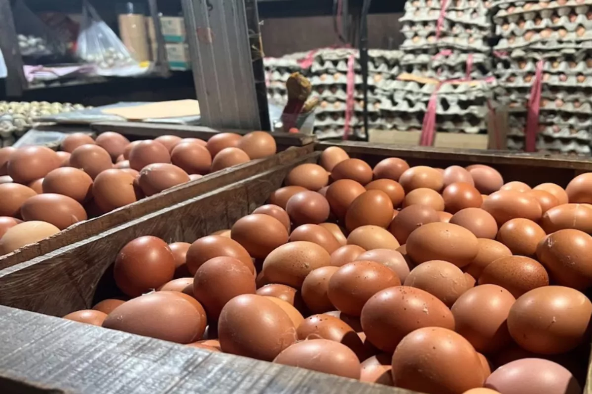 PIHPS 1 Juli 2026: Cabai Rawit Rp64.250/Kg dan Telur Ayam Rp29.400/Kg