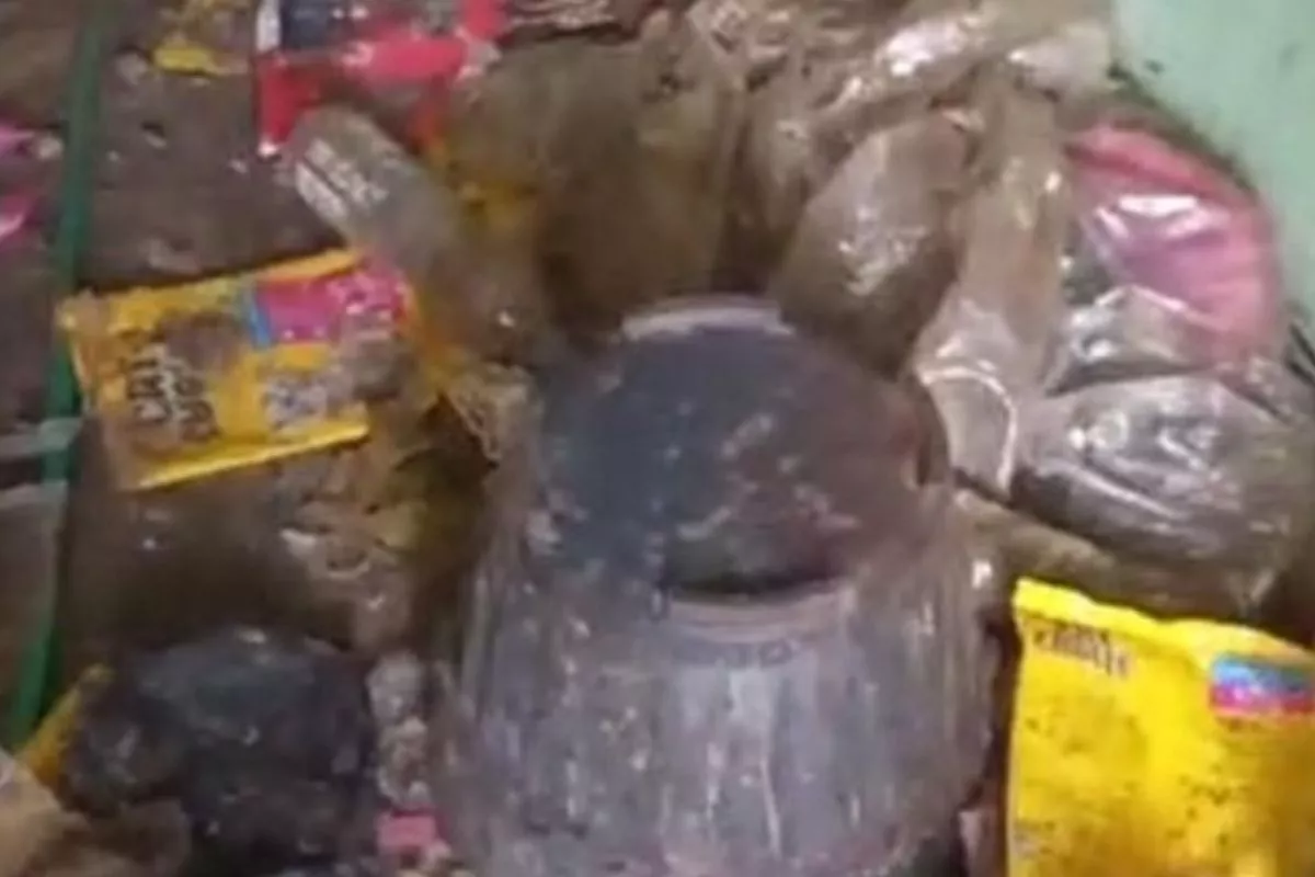 Pemilik Ungkap Perilaku Aneh Penyewa Kontrakan Penuh Bangkai Kucing