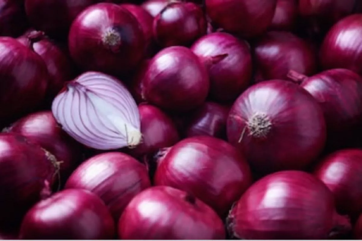 Harga Bawang Merah Meroket Tembus Rp49.900 per Kilogram