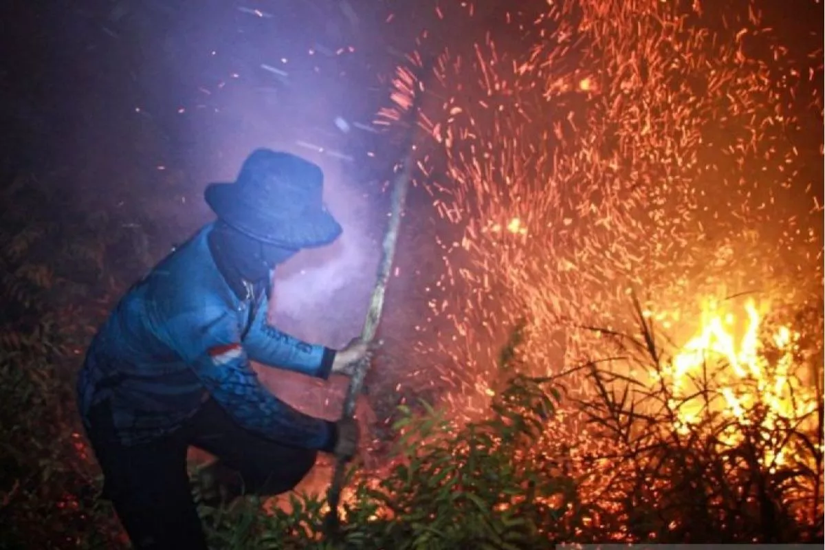 Warga Kalimantan dan Sumatera Diminta Pantau ISPU Karhutla