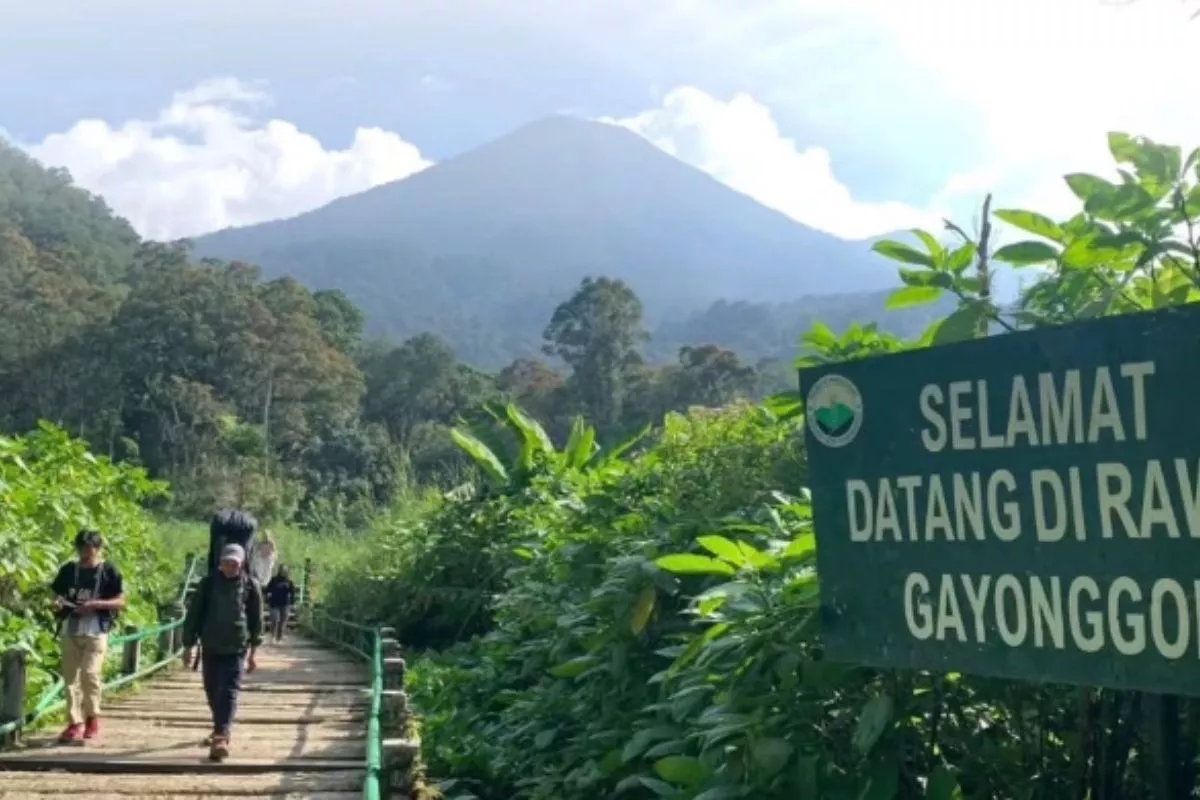 Kemenhut Tangani Kebakaran Gunung Gede Pangrango, Pendakian Ditutup