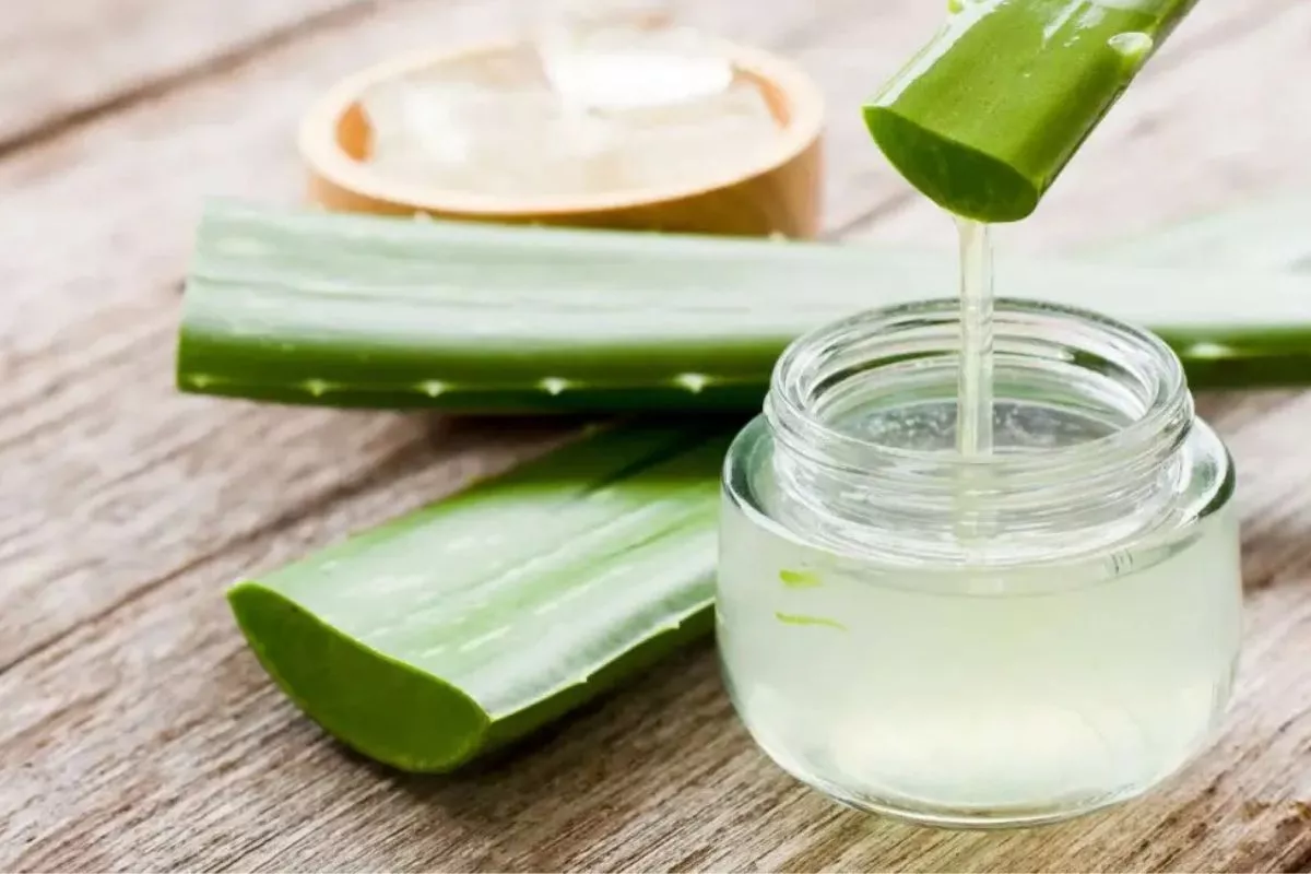 Lidah Buaya Asli vs Gel Kemasan, Mana yang Cepat Hilangkan Bekas Luka?