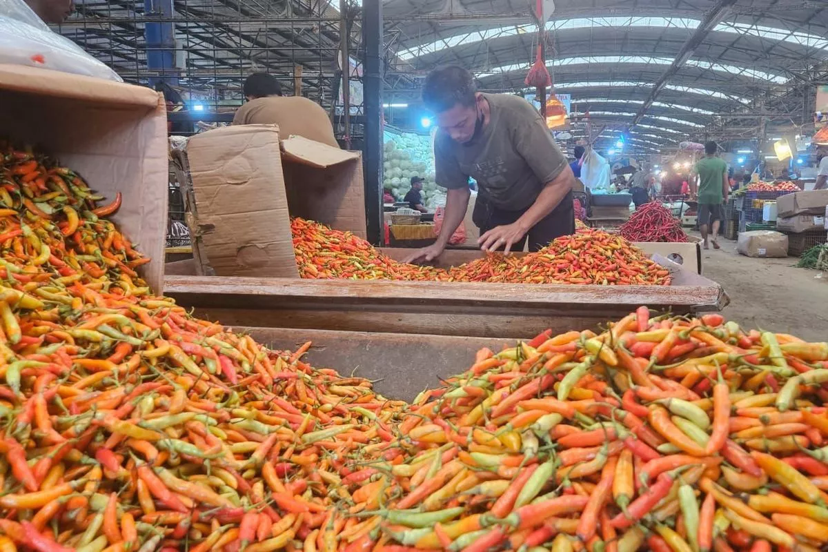 Harga Cabai Rawit Naik, Bapanas dan Kementan Jalankan FDP