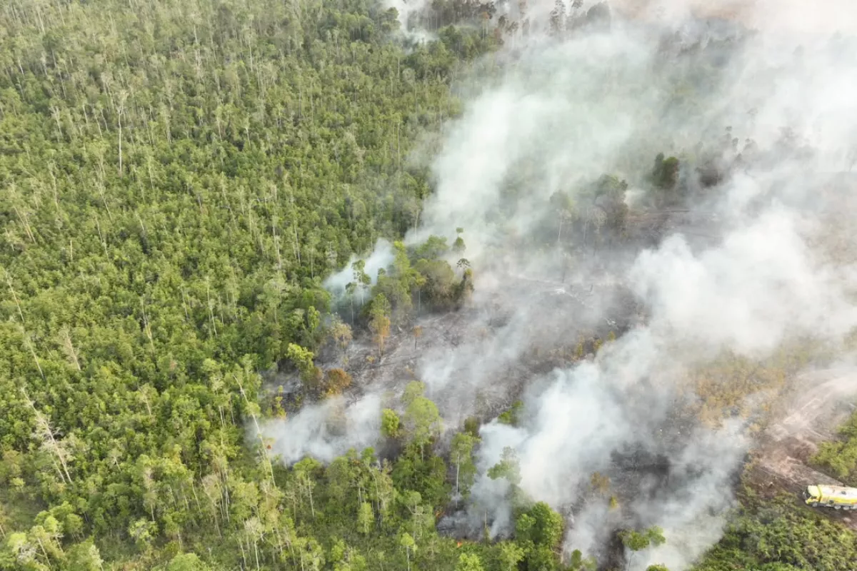 Pemerintah Tetapkan Enam Titik Prioritas untuk Penanganan Karhutla