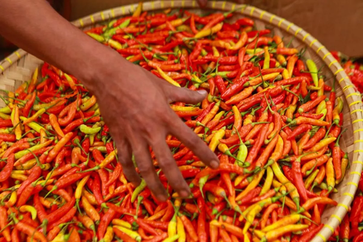 Harga Sembako Jatim Hari Ini: Cabai Rawit Tembus Rp 70 Ribuan per Kg