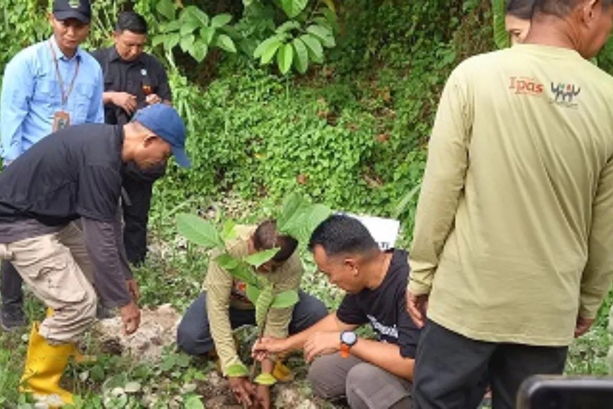Pentingnya Gerakan Tanam Pohon untuk Mitigasi Bencana dan Emisi