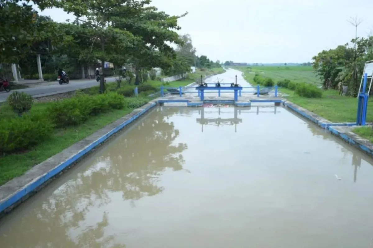 CORE: Jaringan Irigasi Jadi Kunci Jaga Produksi Pangan Hadapi El Nino