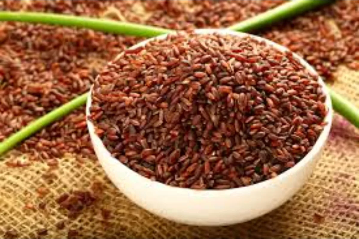 Menu Lebaran Diabetes: Nutrisi Presisi Digital Cegah Lonjakan Gula