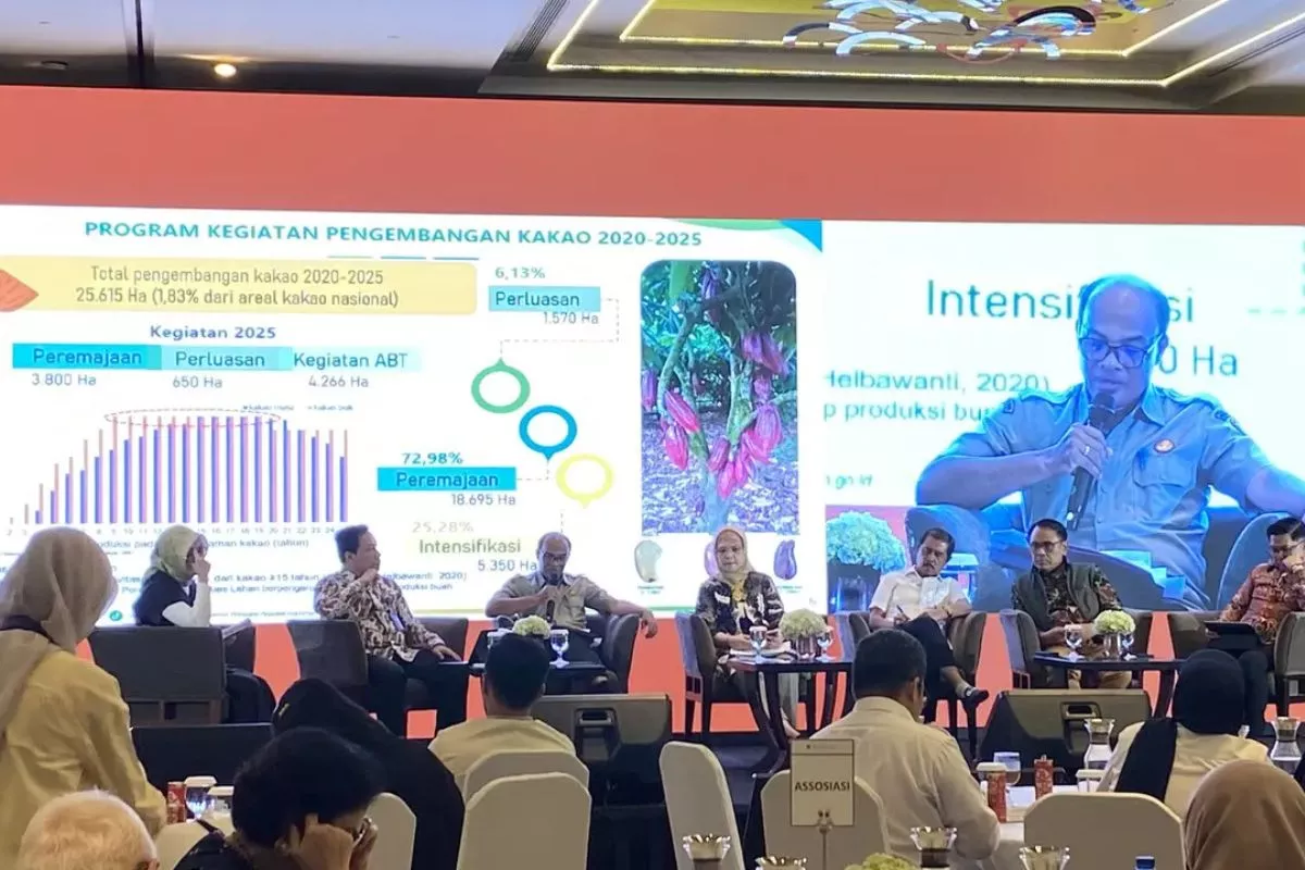 Kemenko Pangan: Agroforestri Perkuat Ketahanan Produksi Kakao