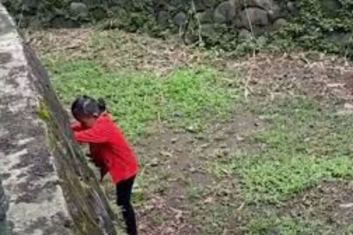 DPRD DKI Desak Ragunan Evaluasi Pengamanan Usai Bocah Jatuh