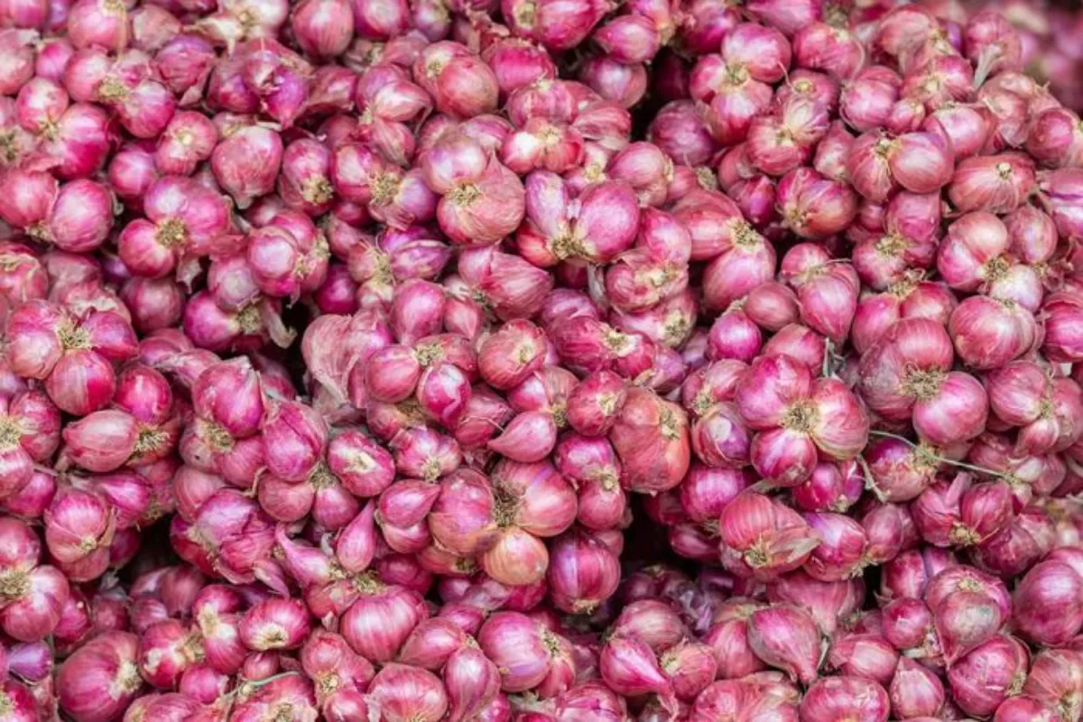 Daftar Harga Pangan Strategis Hari Ini: Bawang Merah hingga Beras