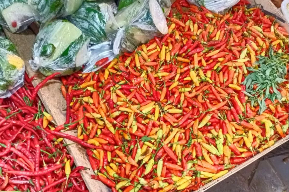 Update Harga Pangan Jumat Pagi: Cabai Rawit Rp69.750, Telur Rp29.750/Kg