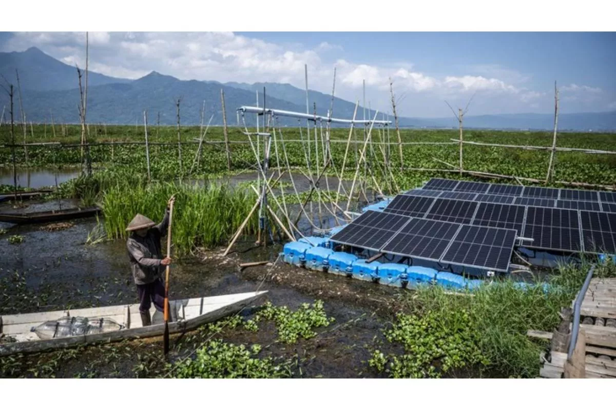Aplikasi Listrik Tenaga Surya dan Pertanian Dukung Ekonomi Hijau