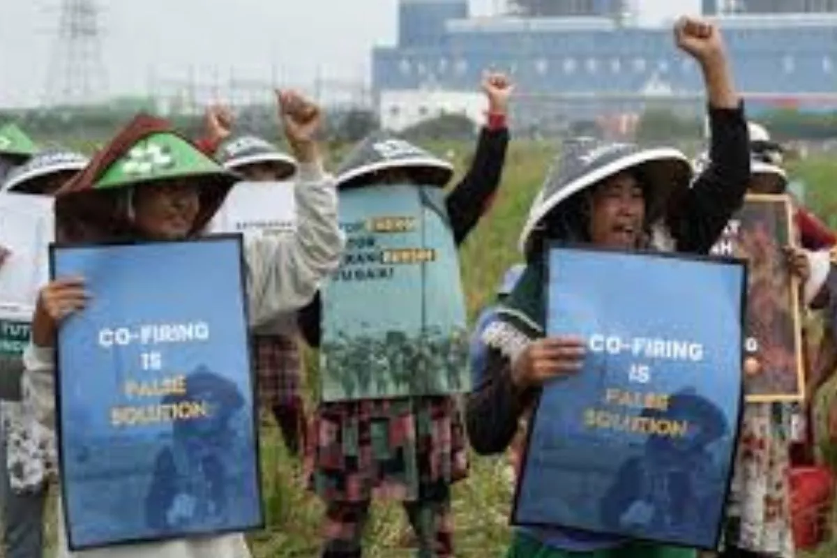 Kebijakan Cofiring Biomassa Dinilai Hanya Perpanjang Umur PLTU
