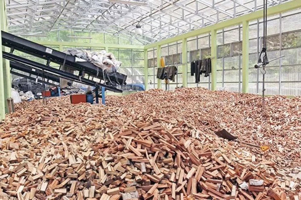 PLN EPI dan Sorbu Agro Kembangkan Bioenergi Sorgum di Gorontalo