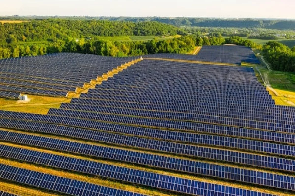 DSSA Perkuat Bisnis Energi Surya Dukung Target PLTS 100 GW