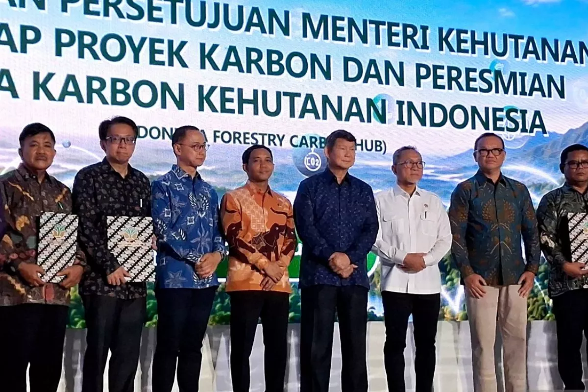 Forestry Carbon Hub Diluncurkan, Ekonomi Karbon Capai Rp5 Triliun