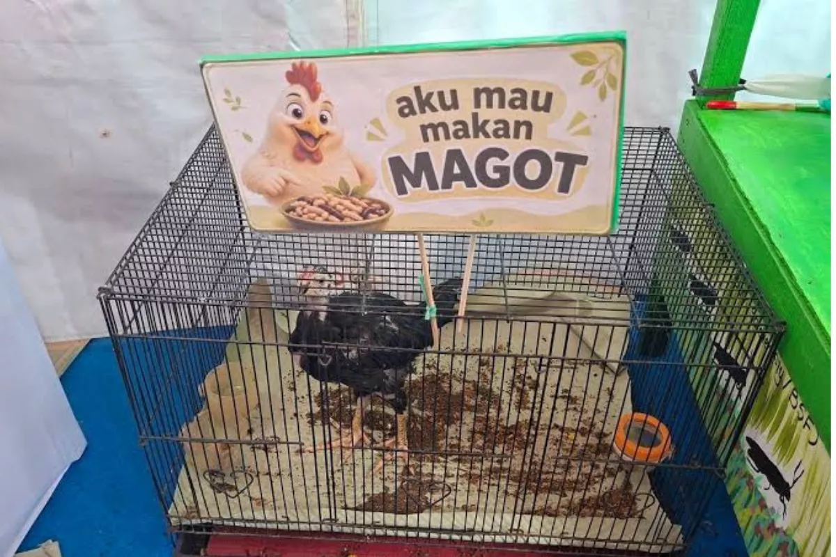 Atasi Sampah Organik, Pemprov DKI Jakarta Siapkan Program Eco-Farm