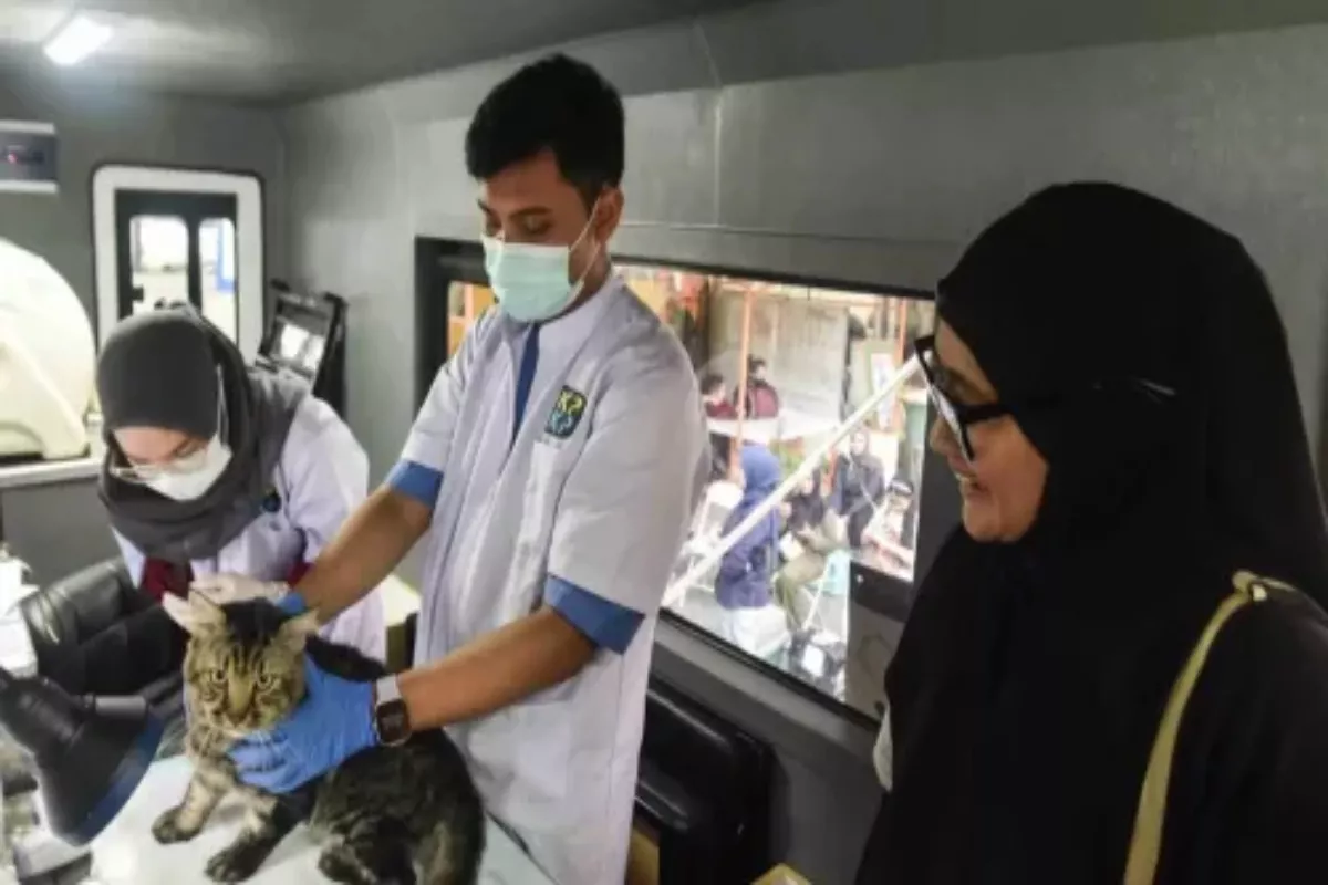 Posko Peduli BNI Dampingi Anak Korban Gempa NTT Tersenyum Kembali Hari Ini
