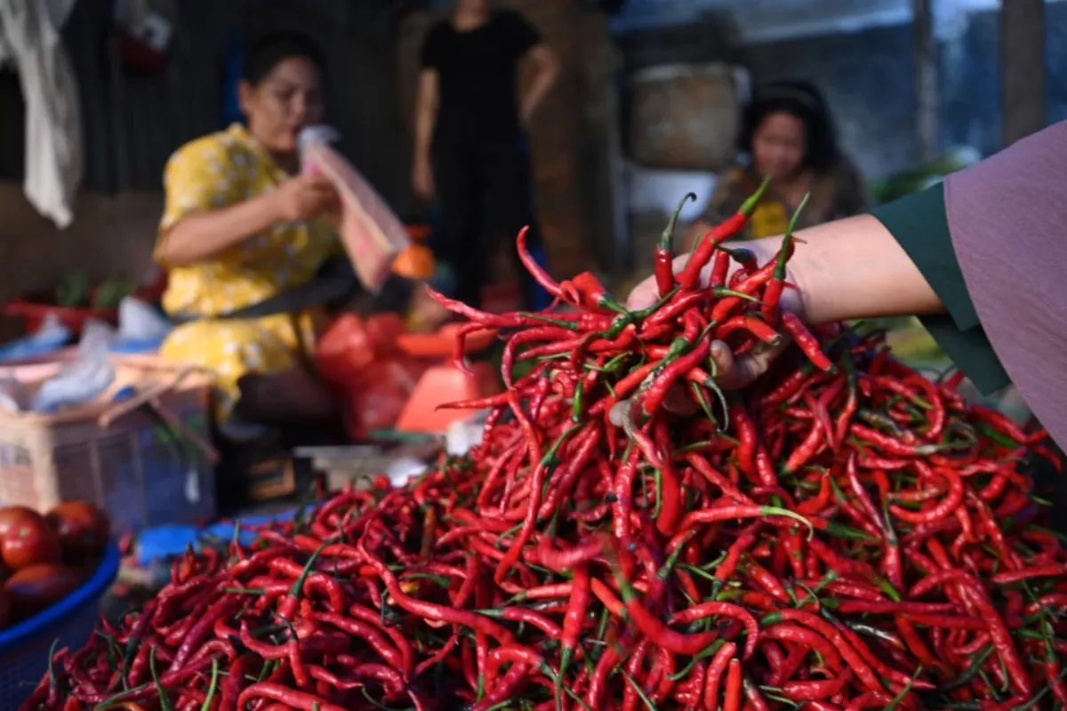 Harga Bawang dan Cabai Merah di Medan Mulai Naik, Warga Mengeluh