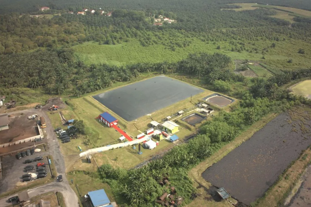 Partisipasi Publik Meningkat, 5.202 Ton Kredit Karbon PalmCo Terserap