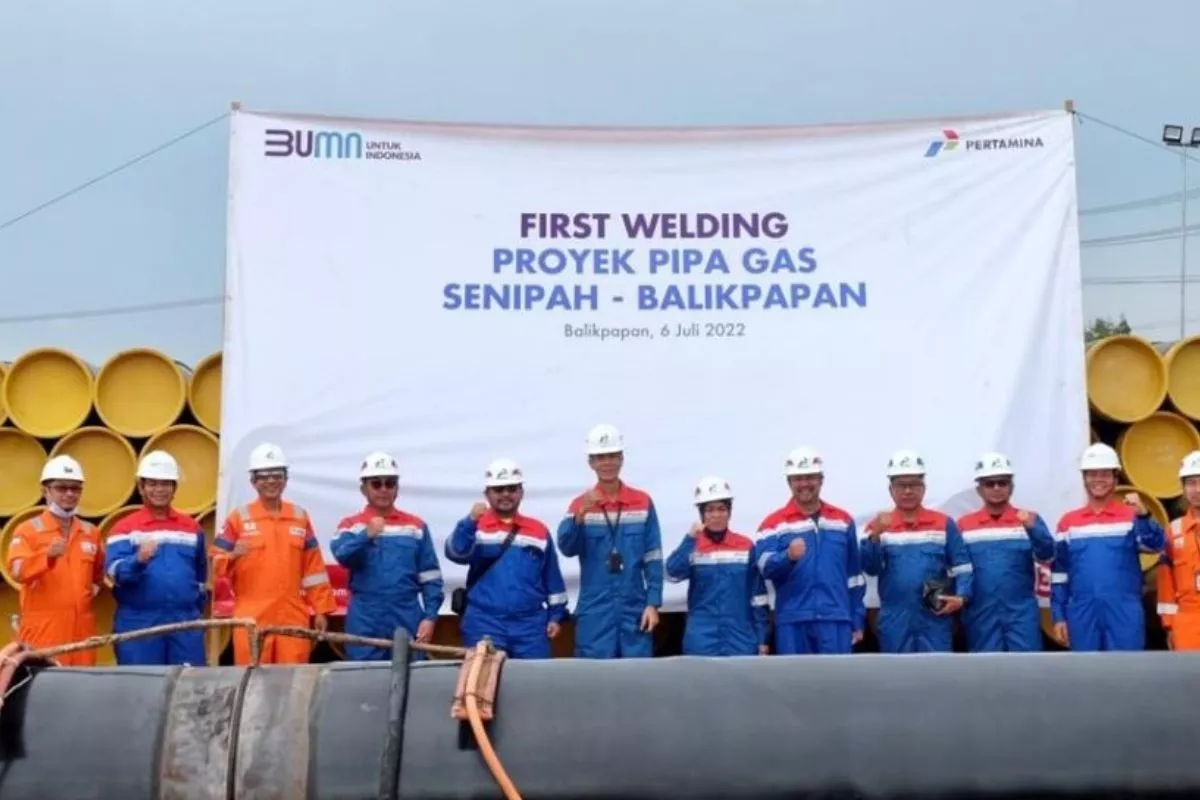 Proyek Agrivoltaik Vatikan: Kerja Sama dengan ACEA untuk Energi Hijau