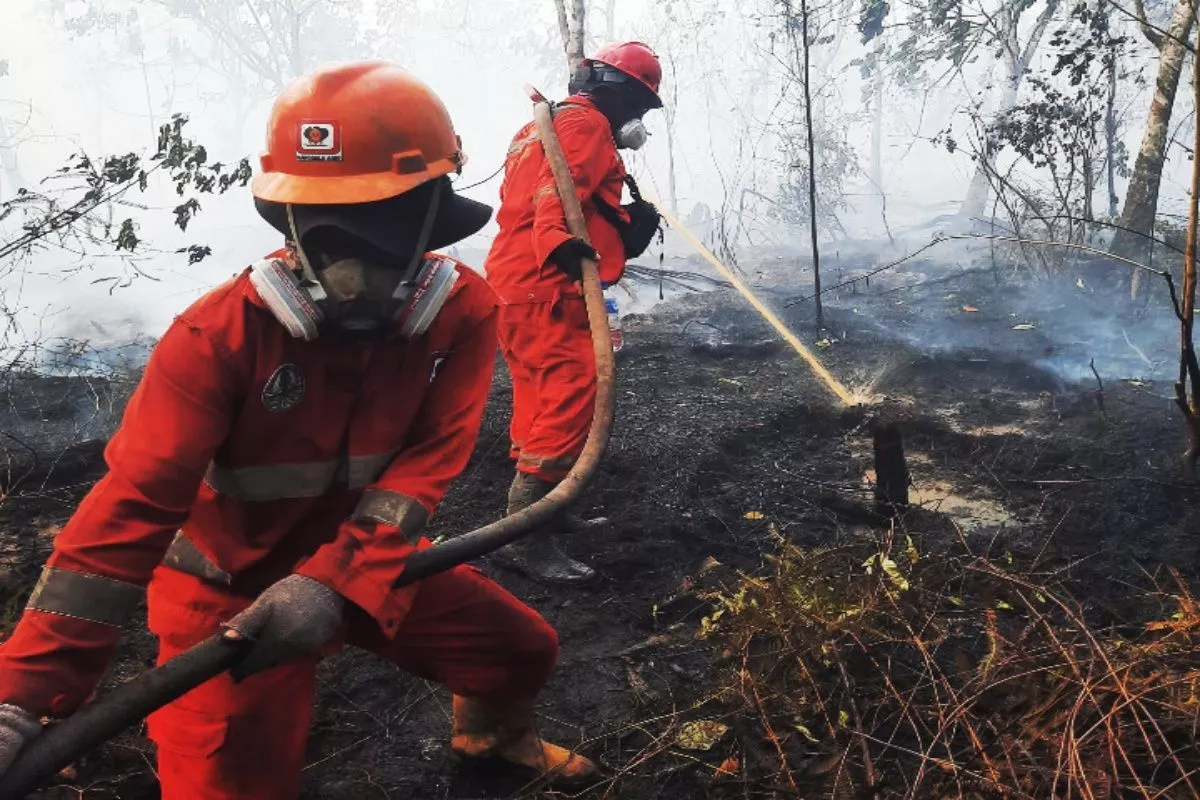 Pemerintah Perkuat Modifikasi Cuaca Atasi Karhutla Kalimantan