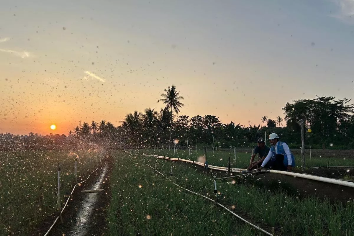 Tarif Listrik Tetap hingga September 2026, PLN Jaga Daya Beli