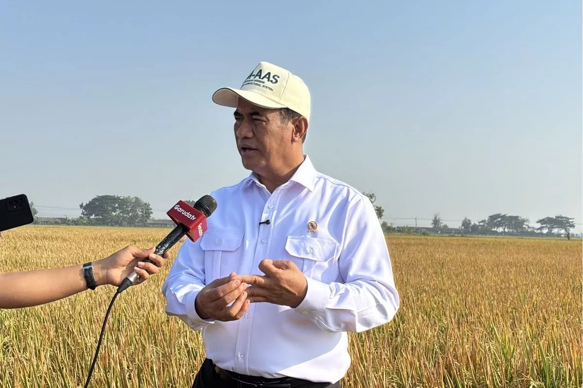 Mentan: Metode PM-AAS Naikkan Produksi Padi Hingga 12 Ton Per Ha