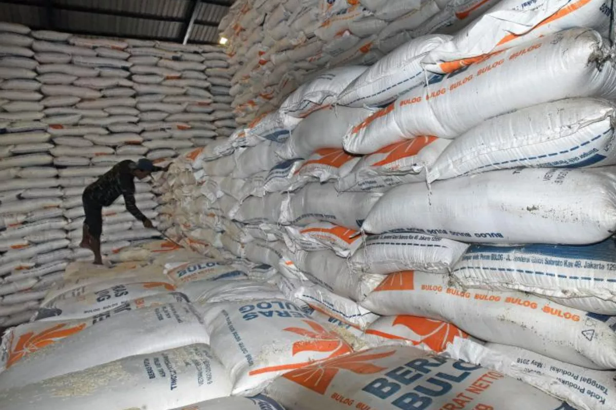 Pemerintah Perkuat Stok dan Bantuan Pangan Beras Hadapi El Nino