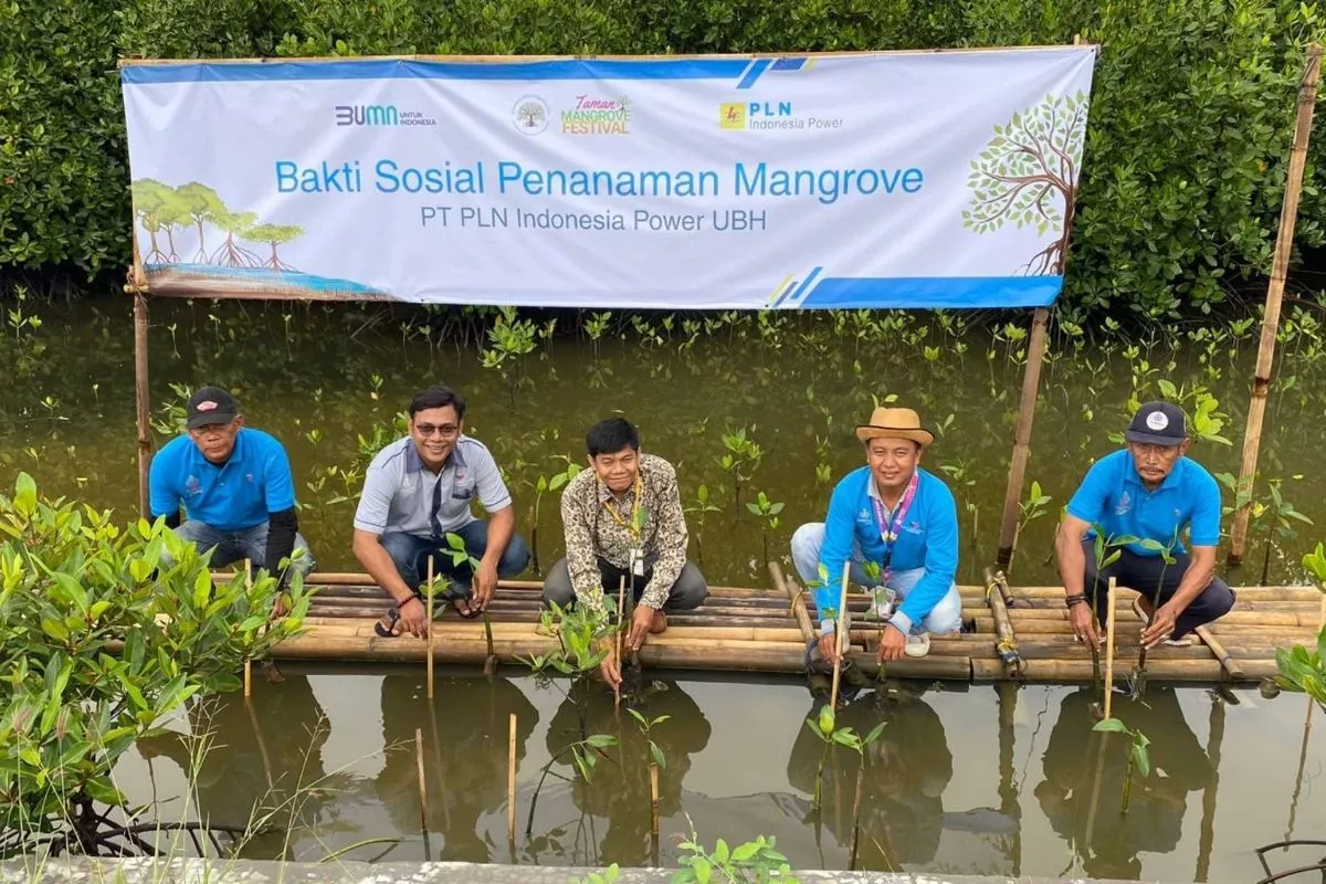 Hari Mangrove Sedunia: PLN IP Tanam 15 Ribu Bibit di Bali