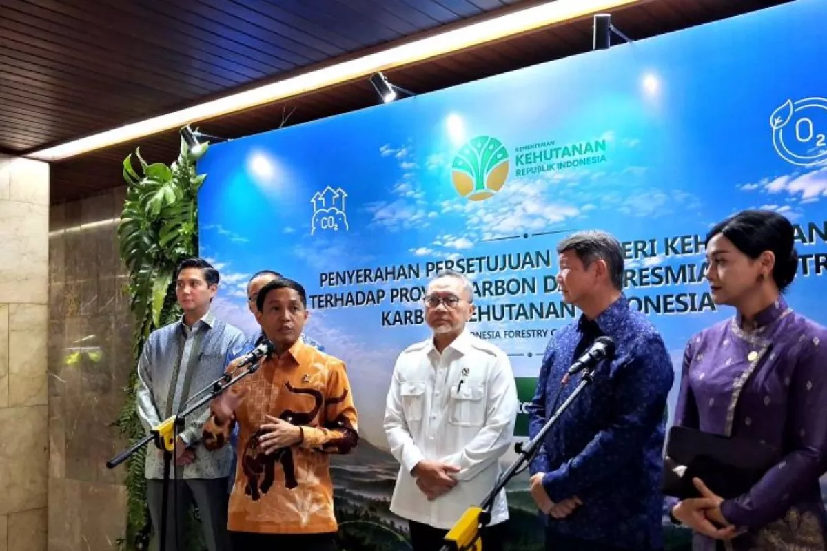 Pusat Karbon Kehutanan Hadir, Potensi Nilai Ekonomi Rp5 Triliun
