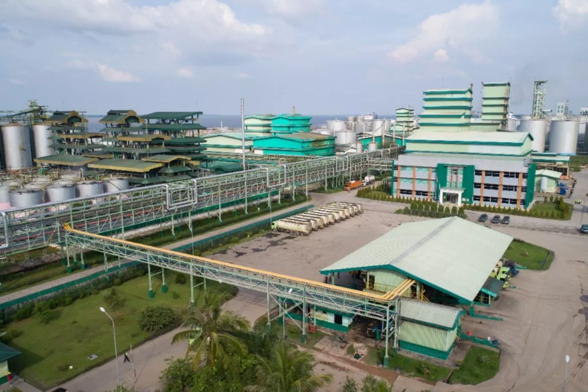 Simak Jadwal Cum Date TBLA, Saham Harga 670 Rupiah Ini Beri Dividen