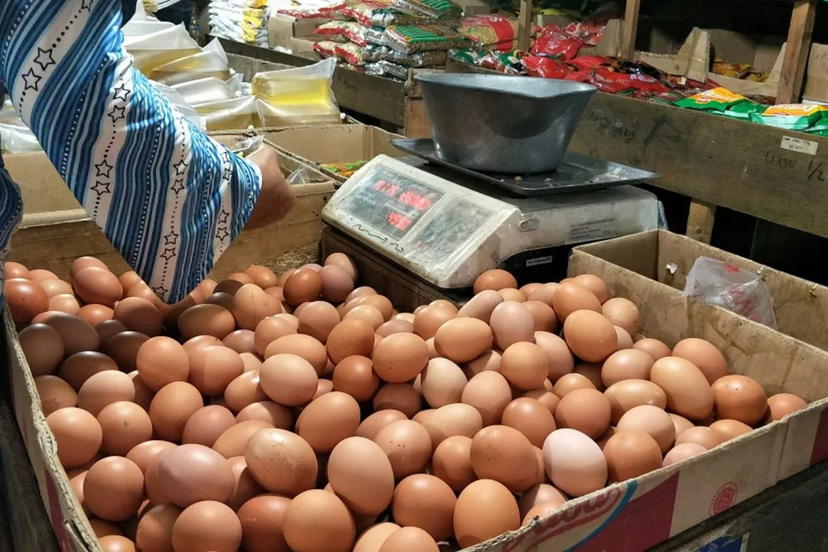 Data PIHPS Rilis Harga Pangan Telur Ayam dan Bawang Merah Terbaru